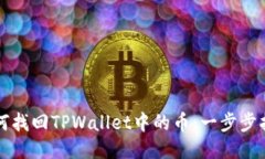 如何找回TPWallet中的币：一步步指南