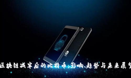 区块链减半后的比特币：影响、趋势与未来展望