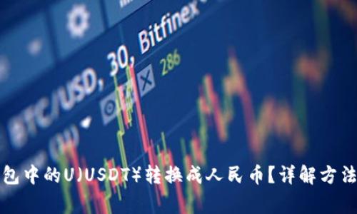 如何将TP钱包中的U（USDT）转换成人民币？详解方法与注意事项