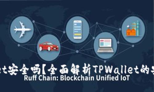 官网下载TPWallet安全吗？全面解析TPWallet的安全性和使用指南