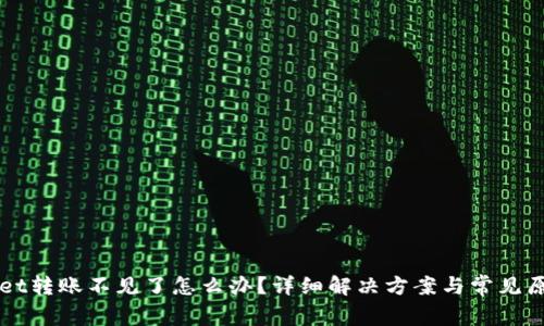TPWallet转账不见了怎么办？详细解决方案与常见原因解析