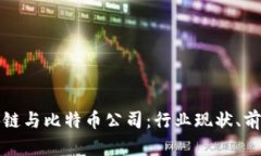 全面解析区块链与比特币公司：行业现状、前景