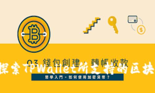 TPWallet：探索TPWallet所支持的区块链及其应用