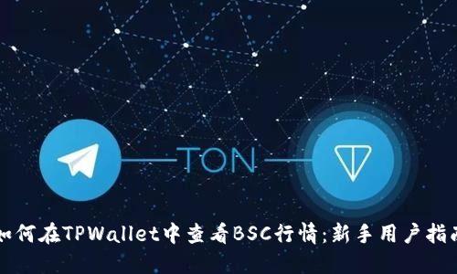 如何在TPWallet中查看BSC行情：新手用户指南
