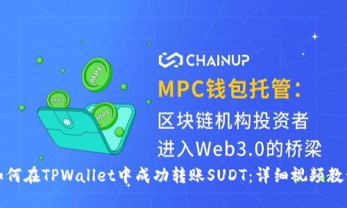 如何在TPWallet中成功转账SUDT：详细视频教程