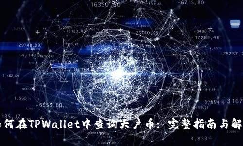 如何在TPWallet中查询大户币: 完整指南与解析