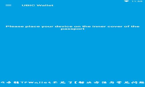 : PIG币转TPWallet不见了？解决方法与常见问题解析