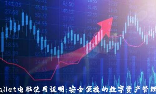 
TPWallet电脑使用说明：安全便捷的数字资产管理工具