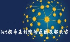 TPWallet提币未到账的原因及解决方法详解