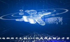 TPWallet电脑端不支持BSC的原因和解决方案深度解析