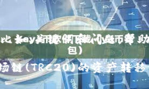 这里是一个大致的框架，比如、关键词和问题，帮助你更好地构思这个主题。

如何通过TPWallet将波场链(TRC20)的资产转移到币安链(BSC)