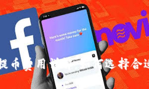 区块链钱包提币费用详解：如何选择合适的提币方案