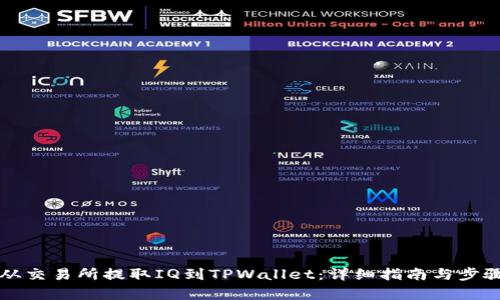 如何从交易所提取IQ到TPWallet：详细指南与步骤解析