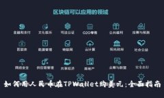 如何用人民币在TPWallet购美元：全面指南