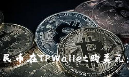 如何用人民币在TPWallet购美元：全面指南