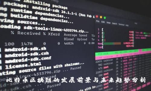 比特币区块链的发展前景与未来趋势分析