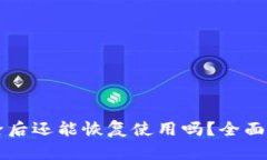 TPWallet被删除后还能恢复使用吗？全面解答与解决