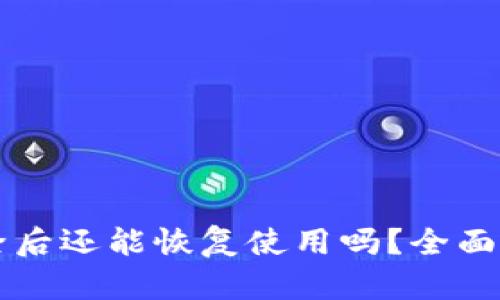 TPWallet被删除后还能恢复使用吗？全面解答与解决方案