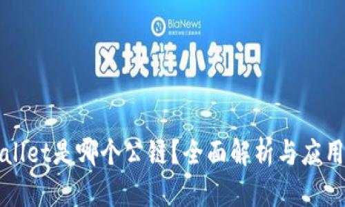 TPWallet是哪个公链？全面解析与应用指南