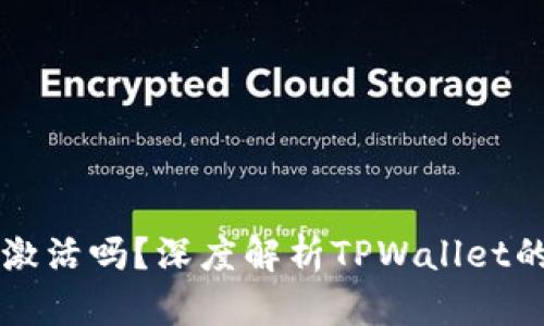 TPWallet还需要激活吗？深度解析TPWallet的使用与激活问题