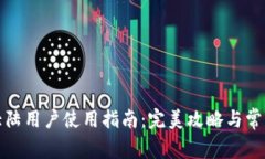 tpwallet大陆用户使用指南：完美攻略与常见问题解