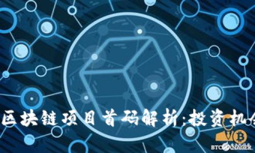 2023年最新区块链项目首码解析：投资机会与风险评估