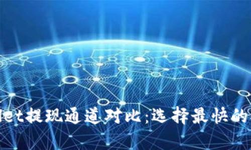 : tpwallet提现通道对比：选择最快的提现方式