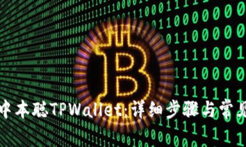 如何安装中本聪TPWallet：详细步骤与常见问题解答