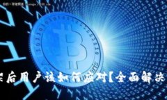 TPWallet下架后用户该如何应对？全面解决方案与替