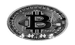 全面解析区块链币种：种类、特点与投资指南