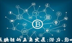 从狗狗币看区块链的未来发展：潜力、影响与前