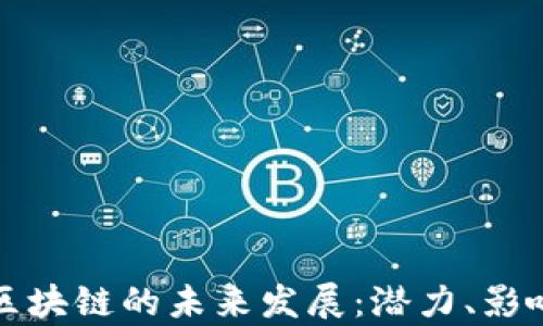 
从狗狗币看区块链的未来发展：潜力、影响与前景分析