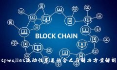 tpwallet流动性不足的含义与解决方案解析