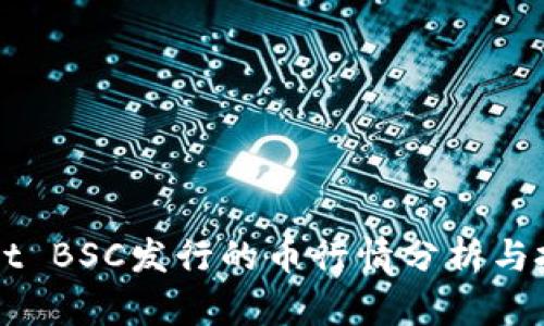 TPWallet BSC发行的币行情分析与投资指导