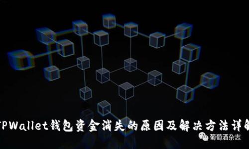 TPWallet钱包资金消失的原因及解决方法详解