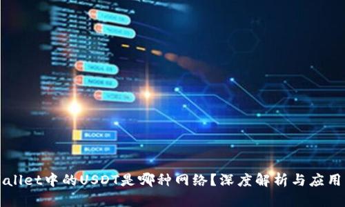 TPWallet中的USDT是哪种网络？深度解析与应用指南