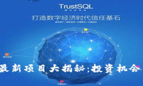 2023年区块链最新项目大揭秘：投资机会与行业趋势分析