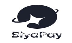 TPWallet头像审核成功时间揭秘：如何提高审核通过