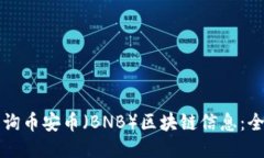 如何查询币安币（BNB）区块链信息：全面指南