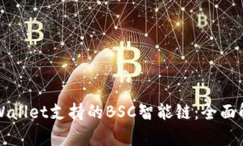 TPWallet支持的BSC智能链：全面解析