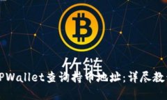 如何在TPWallet查询持币地址：详尽教程与指南
