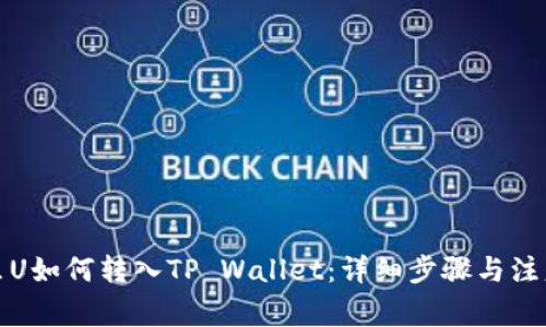 欧意里U如何转入TP Wallet：详细步骤与注意事项