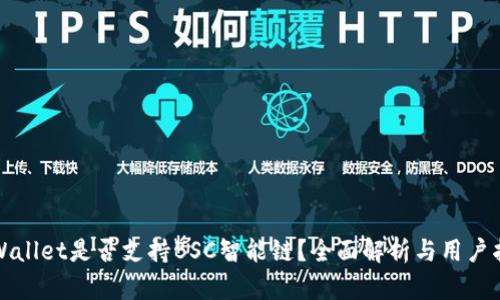 TPWallet是否支持BSC智能链？全面解析与用户指南