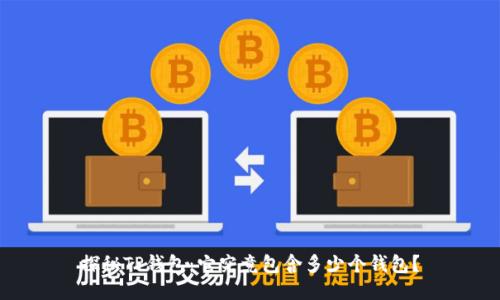 探秘TP钱包：它究竟包含多少个钱包？