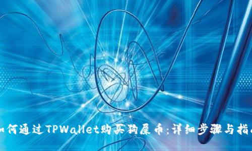 如何通过TPWallet购买狗屎币：详细步骤与指南