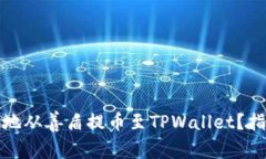 如何安全快捷地从善盾提币至TPWallet？指南与注意