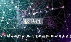 深入了解币圈TPWallet：它的起源、现状与未来展望