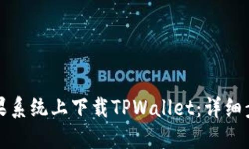 如何在苹果系统上下载TPWallet：详细步骤与指南