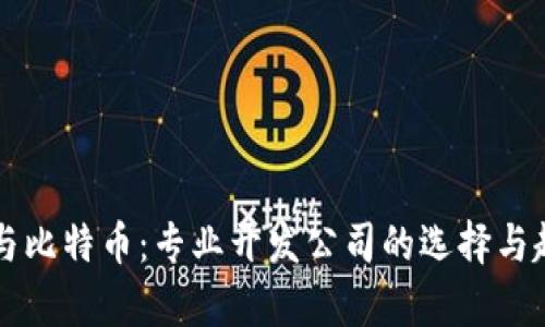 区块链与比特币：专业开发公司的选择与趋势分析