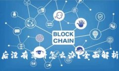 TP钱包更新后没有薄饼怎么办？全面解析及解决方